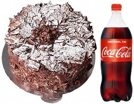 4-6 Kişilik Parça Çikolatalı Pasta Günlük